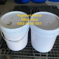 Màu dầu (Paste)